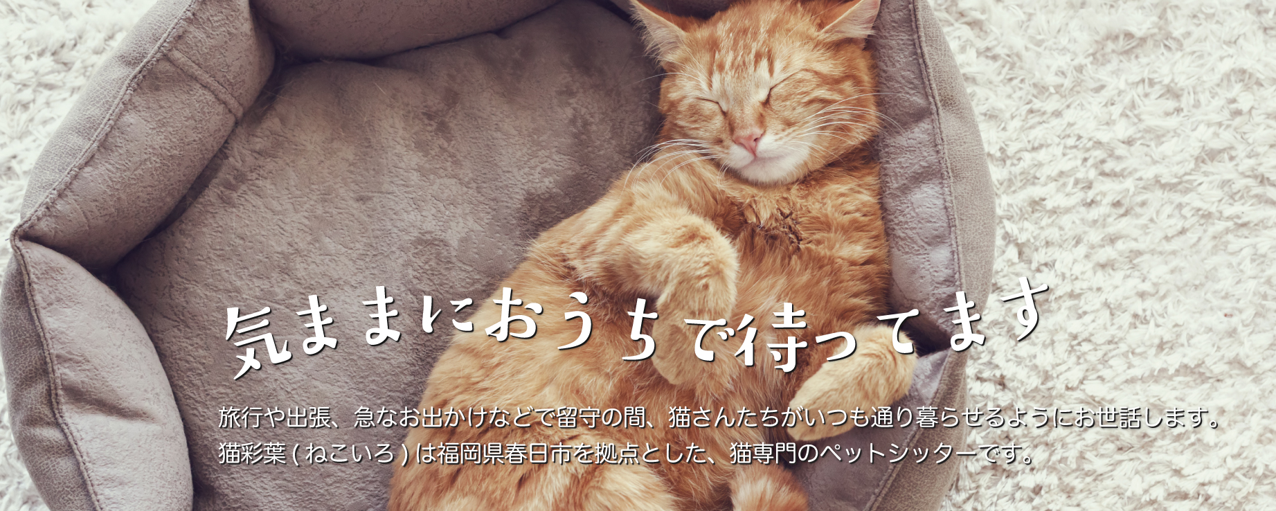 キャットシッター猫彩葉 -ねこいろ-｜福岡県春日市の猫専門ペットシッターです